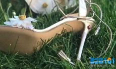 超级赞美鞋子的无与伦比、无可匹敌、毋庸置疑、华丽绝伦的激情拟人化描述