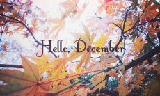 2021年12月的朋友圈最佳优美文案大全——羡煞旁人的文艺情怀与深情表白！