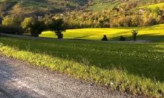 经典感人的亲情话，包含母爱、父爱、子女情等多方面表达爱意的话语汇总，让你更加深刻体验家庭之间的感情温度