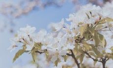 经历一场顺利的考试后兴高采烈的感受，激动人心的考试过后的内心体验