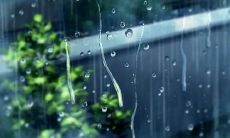 思念的煎熬：探索那种令人心痛的无法抗拒的滋味