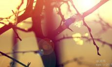 激励人生、鞭策自我，不断前进的励志名言