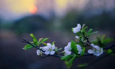 享受生活的秘诀：保持开心心态的301句话