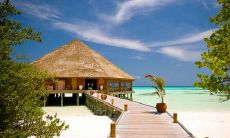 探寻让人感到愉悦、欢乐且令人心情愉悦的句子的方法