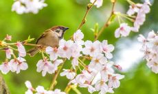 经过集思广益，我们决定把"冲锋小组口号大全"改写成："超全面的冲锋小组口号大集合，让你轻松获取更多口号灵感"