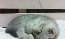 ，炎热难耐让人烦躁不已的季节