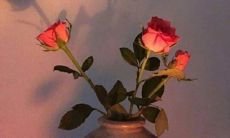 深入探究恋爱中的美妙爱情：涵盖引人入胜的、真实而又浪漫的、绝妙而又感人的恋爱情话