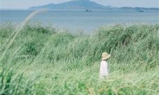 孤寂萦绕的爱情短语：探寻内心深处的情感禅思