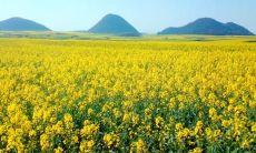 姐妹开心春游，纵情欢笑，共度美好时光！