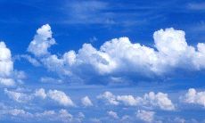 尽心问候，发一条问候短信给亲爱的你