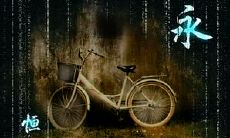 永不凋零的爱情措辞——关于被流传千古的爱情语句