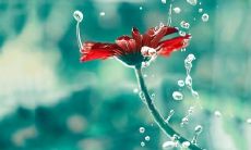 描述过着悲伤、痛苦、不快乐的生活的长句子