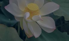 积极向上的阳光励志短语：汇集积极乐观的激励言辞