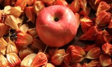 如何用短信问候正在接受手术治疗的同事和亲人？