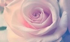 一句让你开怀大笑、脸上挂满皮硬皮软的句子