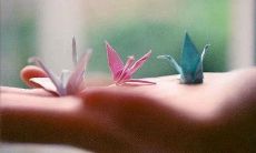 做个出众的女生必读的激励言论：唯有卓越才是女性的主导论调