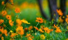 感人至深的话语，表达深深的亲情情感