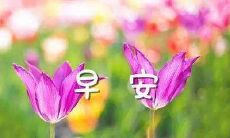 改写后的长标题： 早晨发出的问候短信过于简单单调，缺乏温暖与关怀