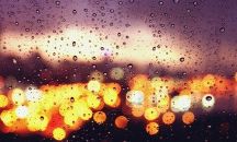 无法忍受公司的种种不满，最终导致个人在工作中彻底失望的表述