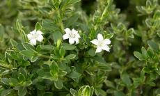 感人至深、温暖人心的亲情句子汇总