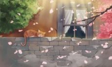 精致生活中的高质量情侣自拍照片展示