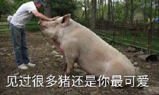 有一天，你将成为我未来儿子的母亲，笑翻全场的浪漫告白语录