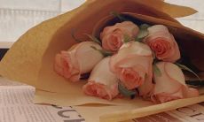 充满美好与简约的快乐句子让心灵得到放松与愉悦