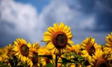 分享给你，让你的朋友圈更加有灵魂和格调的优美句子！