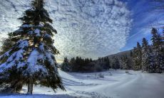 冬季之美：给冬天的韵律和诗句以新生命的灵感