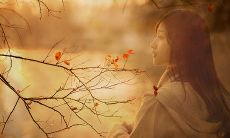 探寻爱情必修的唯美句子——揭示爱有天意的洞察感悟