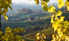 收录超有爱心的快乐欢乐说晚安语句 带给你愉快的晚间时光