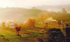 探寻秋日山村景致的精美句子，纵览优美且富有情感、色彩和生命力的自然画卷