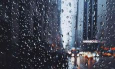 我面对老婆所表现出的行为，感到极度的失望和沮丧