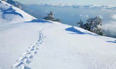 汇总2022年7月与8月的各种搞笑、感人、励志说说，送别七月迎接八月，让你笑着迎接美好的未来！