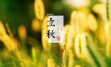 收集了24句立秋时节的朋友圈说说，尽在此文中！