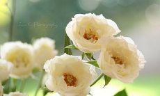 适合中年人在社交媒体发朋友圈的充满智慧和成熟的话语提示