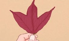 让寒冬温暖心灵的温馨短语集锦