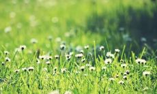 夏天的优美句子，彰显温暖与清新的季节气息