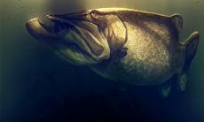 我对公司的表现感到失望，想离开该公司的念头越来越强烈