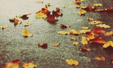 天气阴沉，外面雨点噼啪落下，让心情变得烦躁不安