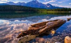 发，让你的朋友感受到你的关怀和温暖！