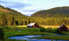 分享愉快情绪：探讨令人欣慰的表达方式、描述快乐心情的各类句式