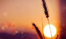 分享正能量：早起的心声，适合清晨发在朋友圈的说说