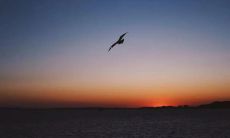 晚上说的励志句子，鼓舞人心，督促自己；让自己的心灵得到宁静的方式