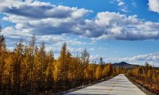 借助经典的亲情句子诉说心境的美妙：感受亲情的温暖与人间真情