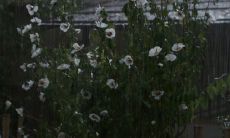 探寻伤感深处，引发心痛的句子语录