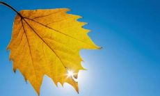 用唯美句子迎接十月的十个话题，分享感受与心情的韵味之旅