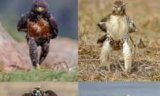 丰富你的社交媒体发言内容！分享这些逗趣又恰当的沙雕句子和图片大合集！