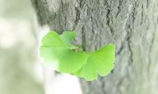 挑战自我，迎接新的开始——七月最后一天的励志说说