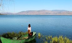 心有所属：以悲婉文笔描绘的爱情丧系文案